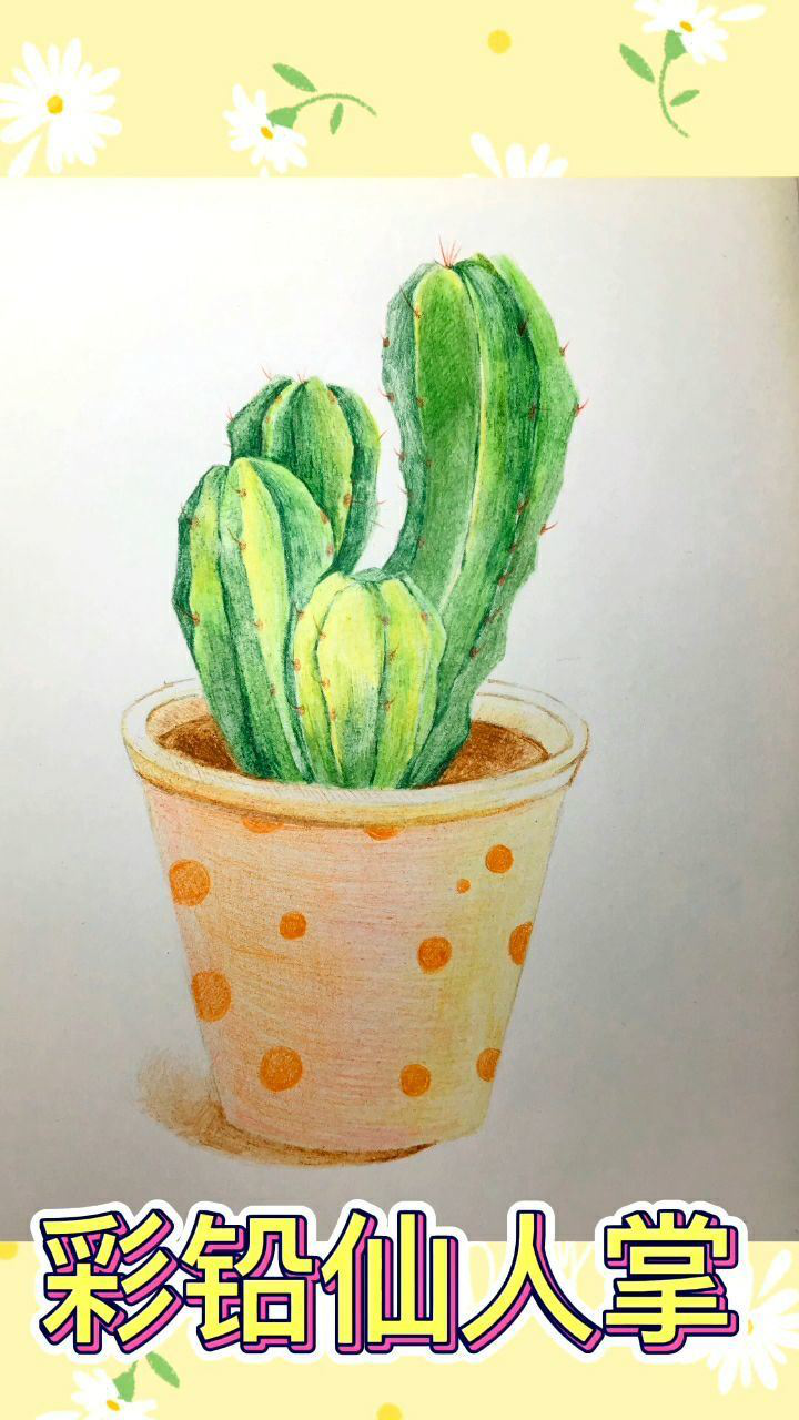 周末了用彩铅画一个仙人掌吧