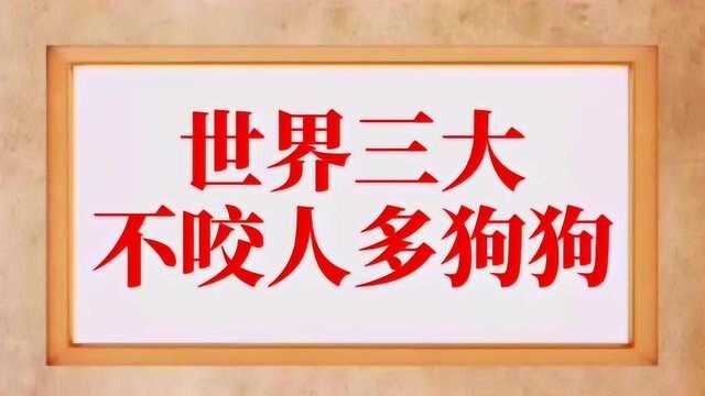 每天一点冷知识,世界三大不咬人的狗!小伙伴们你还知道哪些不咬人的狗!