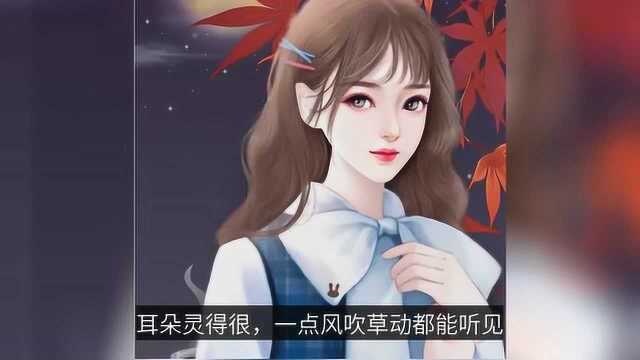 推纯爱文:校园文,双学霸,强势对强势,文风青春洒脱