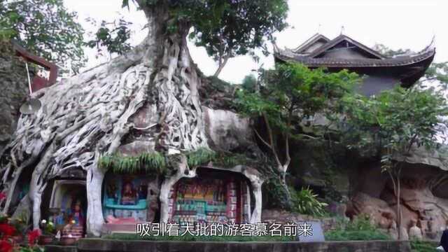 四川一座千年古寺,藏着“树抱佛”奇景,门票零元却少有人知!