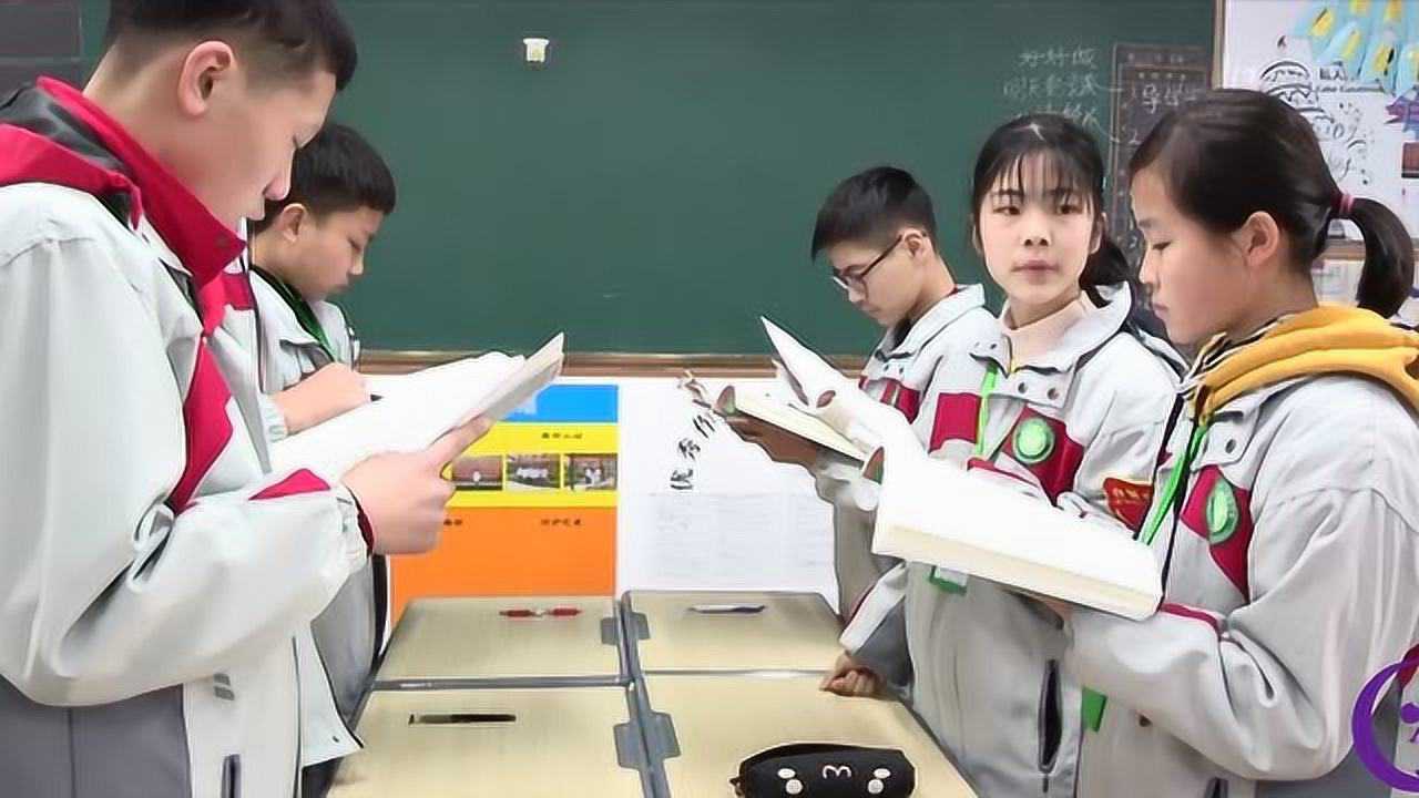 学生课堂合学环节标准案例（语文），小组合作学习操作方法展示_高清