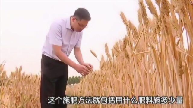 农业科技“豫家军”之毛家伟:我让土壤更“健康”