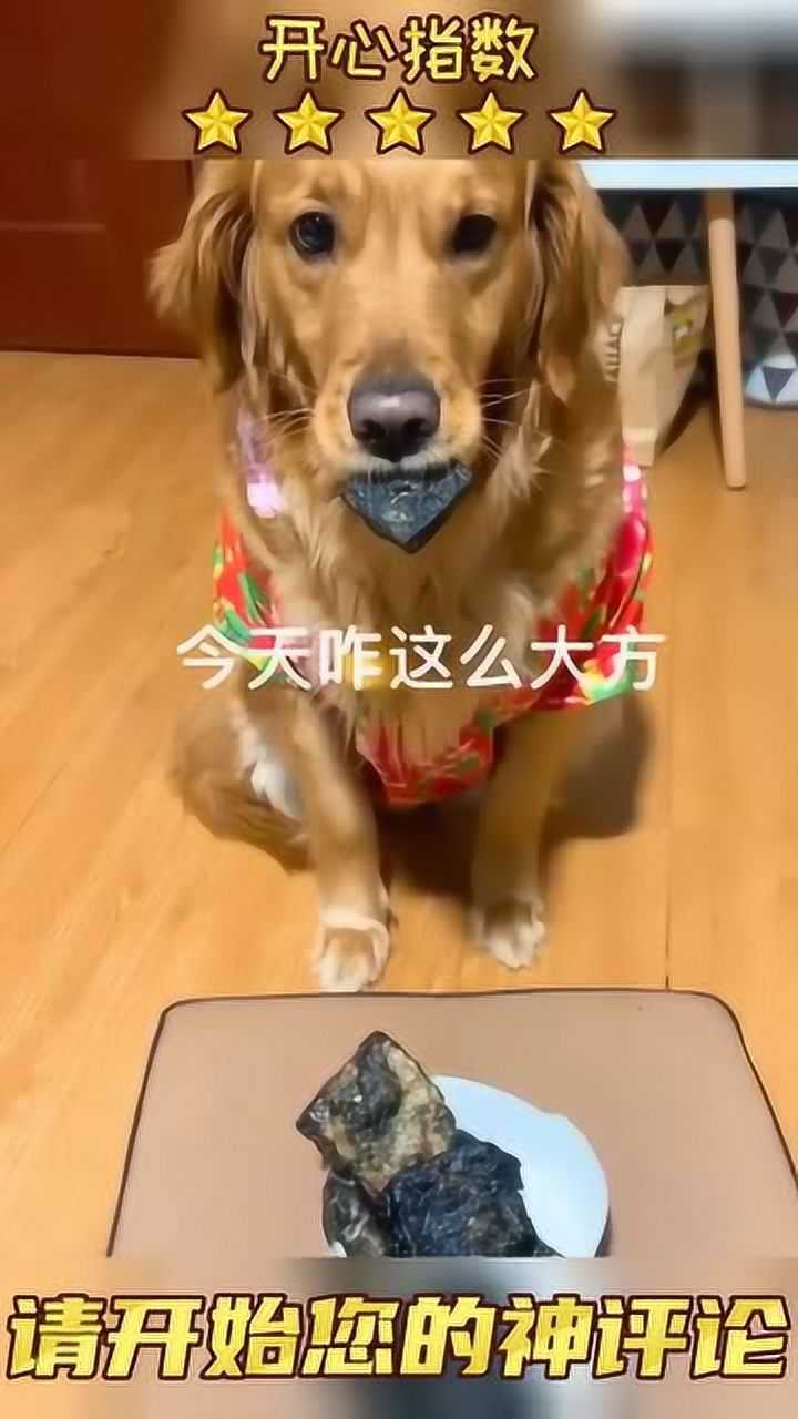 狗子吃臭豆腐内容太丰富了