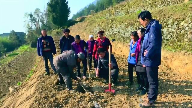 (电视通稿ⷥ›𝥆…ⷧ𛏦𕎩(扶贫在行动)重庆巫溪:“技术引领”助脱贫