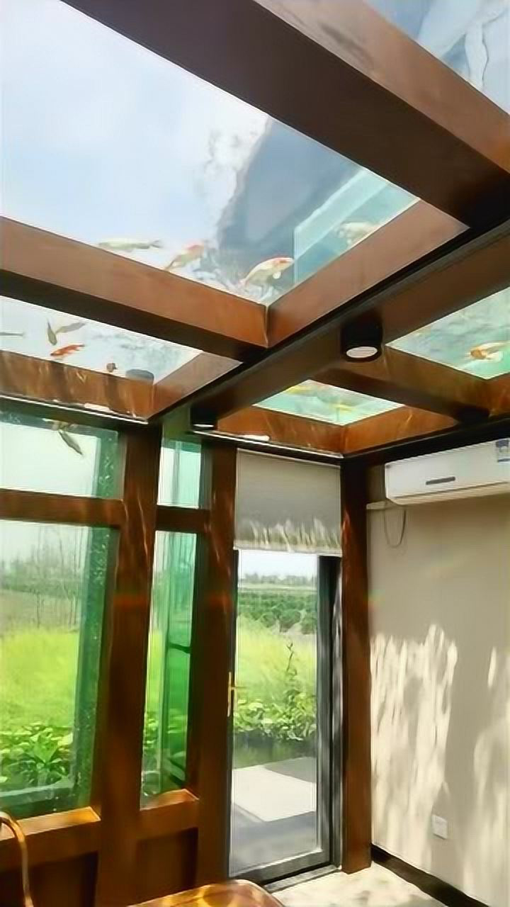 价值千万阳光房房顶用来养鱼有钱人真会享受