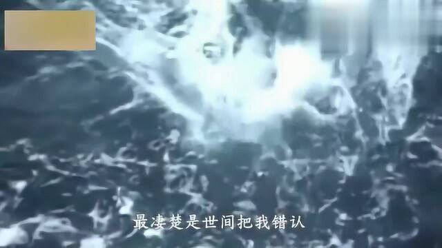 这首经典歌曲《谁知我心》,深情婉转,好听极了,曾经打动多少人