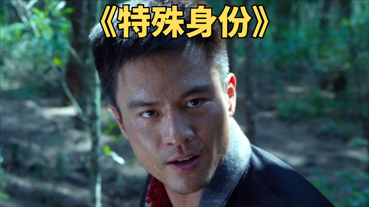 我的规矩就是规矩,甄子丹安志杰高燃对决.动作片《特殊身份》