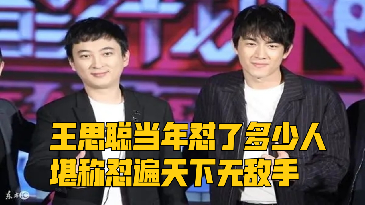 王思聪当年怼了多少人,堪称怼遍天下无敌手