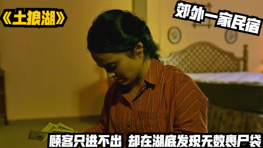 郊外一家民宿,顾客只进不出,却在湖底发现无数裹尸袋《土狼湖》