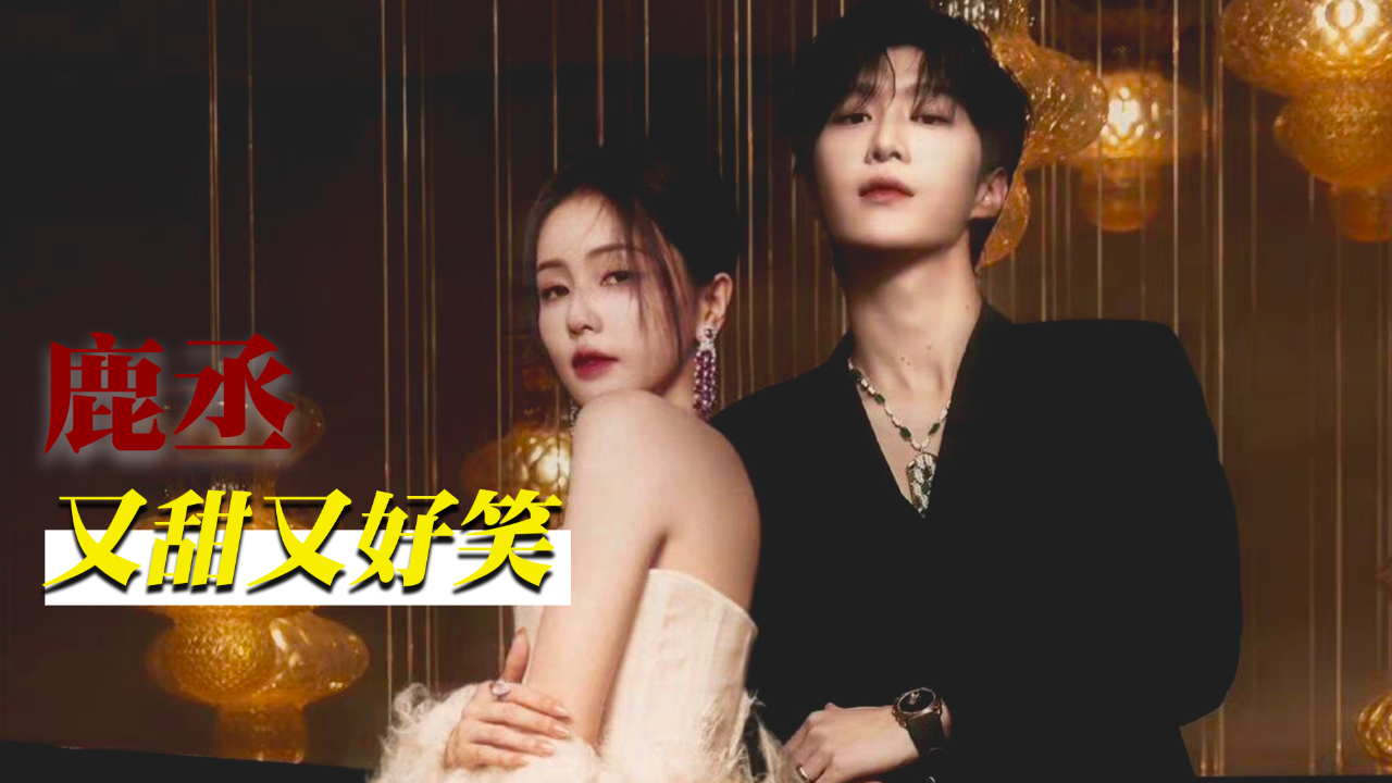 白鹿范丞丞又甜又好笑,妥妥的快乐源泉