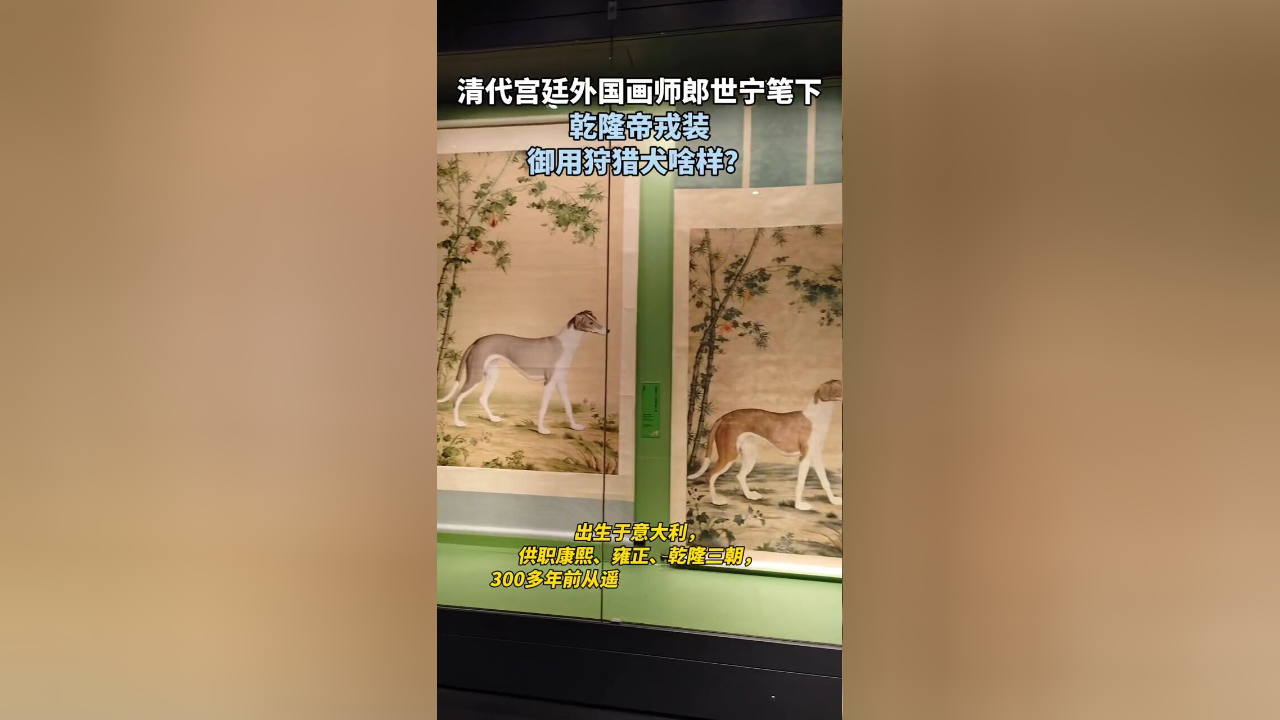 清朝宫廷犬图片