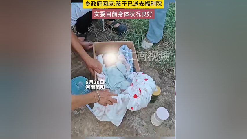 网友发视频称南阳一女婴被遗弃在纸箱子里,当地乡政府回应:已送往福利