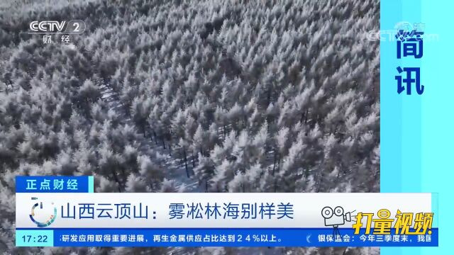 山西云顶山:雾凇林海别样美