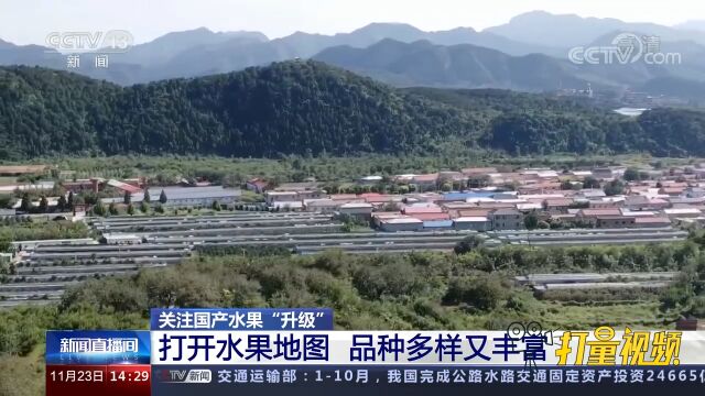 关注国产水果“升级”:打开水果地图,品种多样又丰富