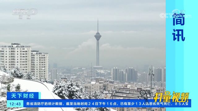 伊朗首都德黑兰迎今冬首场降雪