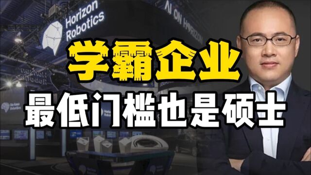 学霸企业创立7年已经完成了15轮融资,地平线的门槛最低也是硕士