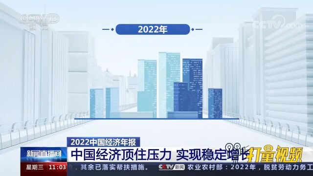 2022年中国经济报:中国经济顶住压力,实现稳定增长