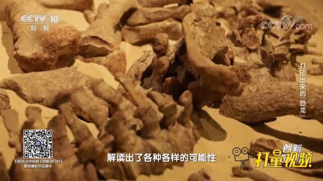 恐龙为何会灭绝?人类在生物密码中,解读出多种可能