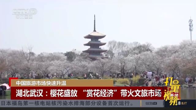 湖北武汉:樱花盛放“赏花经济”带火文旅市场