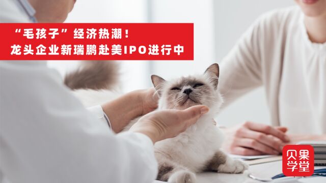 中国宠物医院第一股?毛孩子经济掀起热潮,新瑞鹏启动赴美IPO