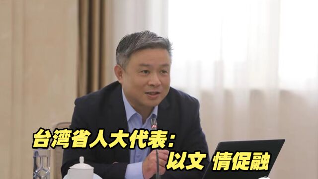 台湾省全国人大代表:以文、情促融,推动两岸共同弘扬中华文化