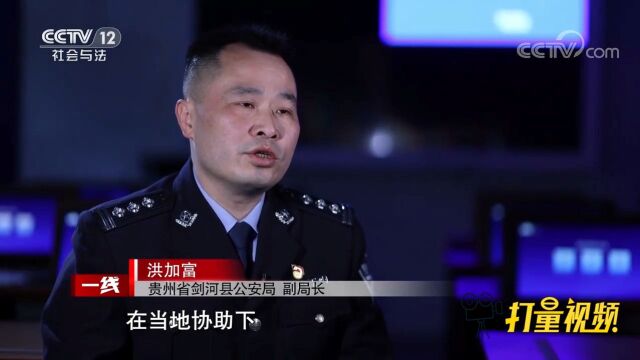 作案十余起,多棵千年闽楠被盗割,警方调查后,最终锁定嫌疑人