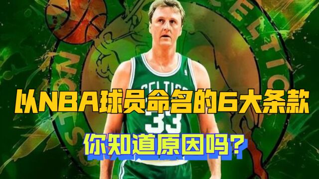 以NBA球员命名的6大条款你知道原因吗?阿里纳斯、罗斯条款太励志(2)