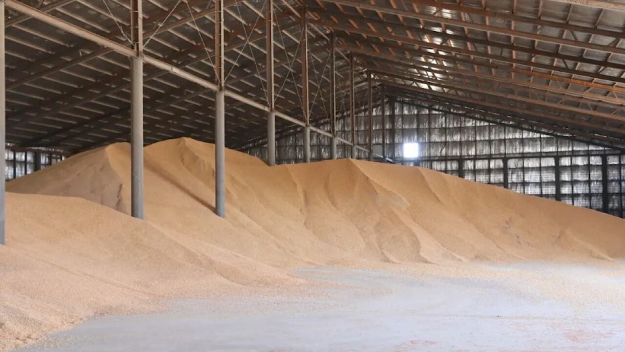 男子欠债雇人偷粮库50吨玉米:经营养殖场亏损,伙同4人实施盗窃