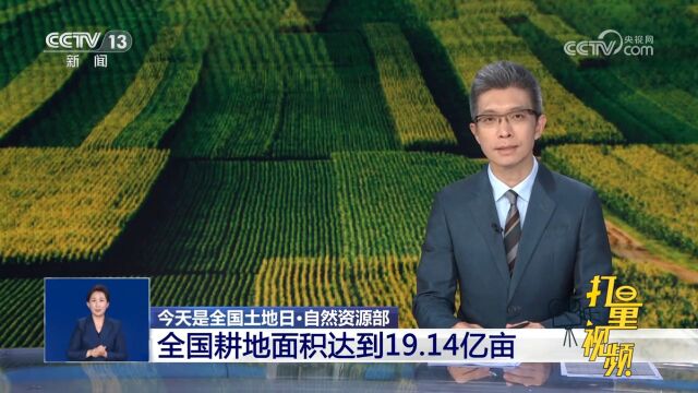 自然资源部:全国耕地面积达到19.14亿亩