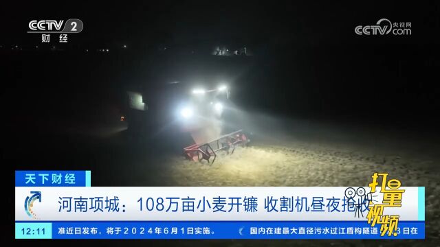 河南项城:108万亩小麦开镰,收割机昼夜抢收