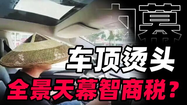 电车玻璃顶有多烫头?全景天幕为什么是流行智商税?【商业B面&牛顿】