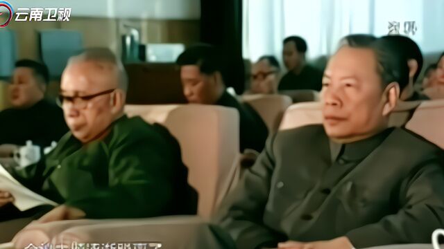 讲话提纲9:1978年,邓小平访问朝鲜,对金日成说了这样一番话!