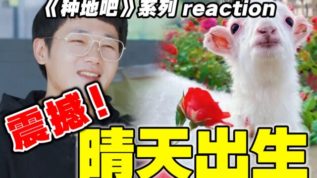 泪奔!【种地吧】reaction!谁会想到综艺能这么震撼?!