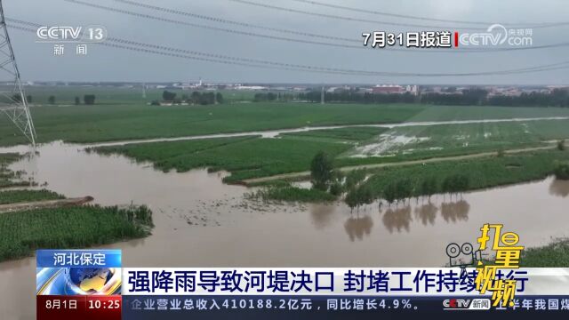 河北保定:强降雨致水位暴涨,河堤出现决口,封堵工作持续进行