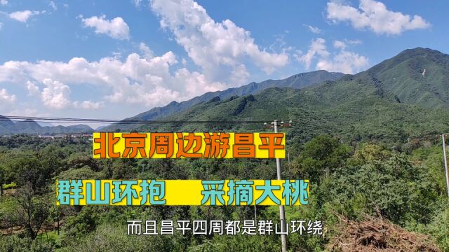 北京昌平群山环抱 自然环境优美 适合自驾跑山 采摘大桃