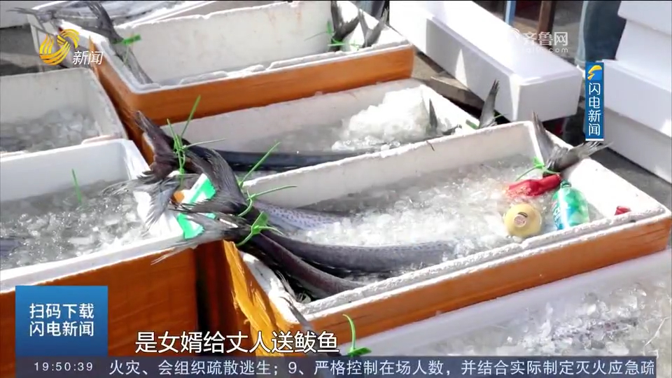 鲅鱼跳丈人笑!青岛第二十届沙子口鲅鱼节开幕,市民抢头茬春鲅鱼