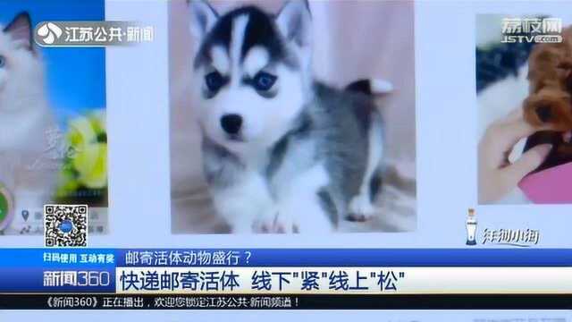 邮寄活体动物盛行?快递邮寄活体 线下“紧”线上“松”