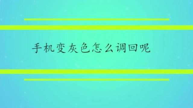 手机变灰色怎么调回呢