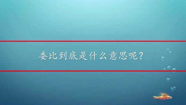 委比到底是什么意思呢?