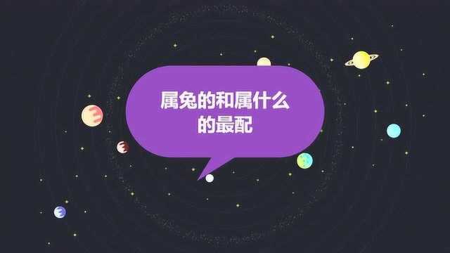 属兔的和属什么的最配