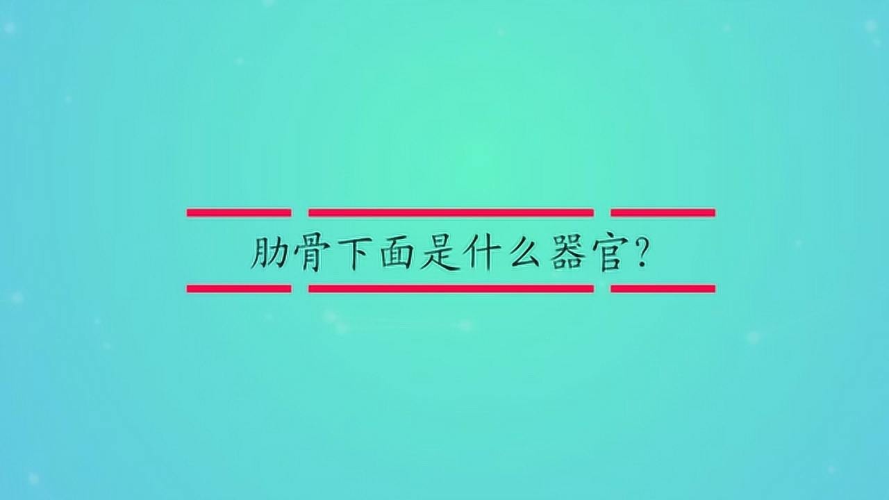 肋骨下面是什麼器官