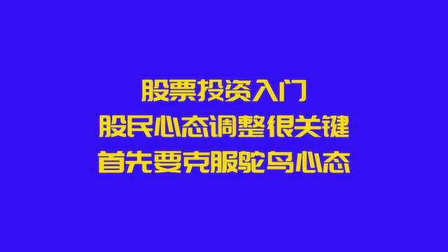 股票投资入门,股民心态调整很关键,首先要克服鸵鸟心态