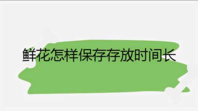 鲜花怎样保存存放时间长