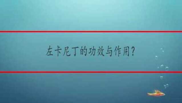 左卡尼丁的功效与作用?