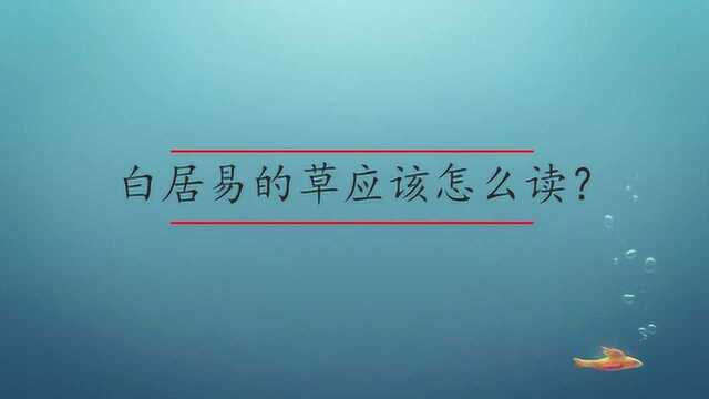 白居易的草应该怎么读?