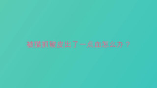 被猫抓破皮出了一点血怎么办?