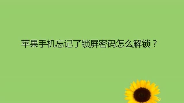 苹果手机忘记了锁屏密码怎么解锁?