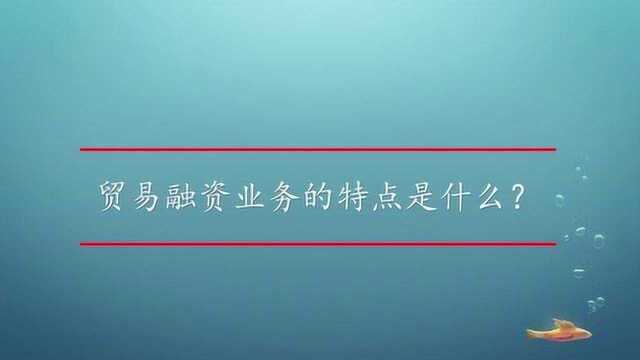 贸易融资业务的特点是什么?