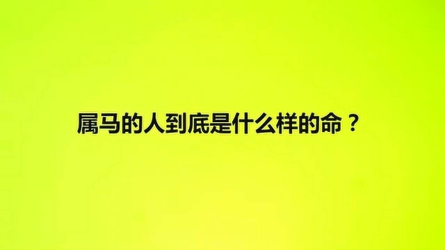 属马的人到底是什么样的命?