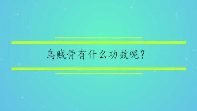 乌贼骨有什么功效呢?